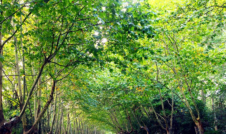 多年行業(yè)經(jīng)驗(yàn)，實(shí)力強(qiáng)