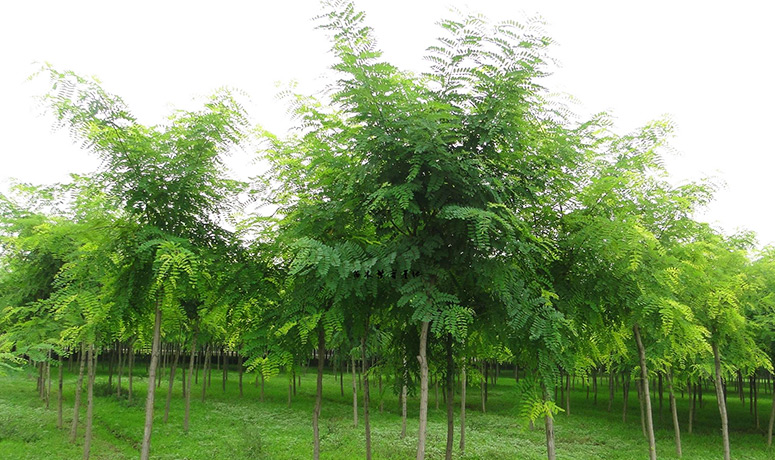 專(zhuān)業(yè)的技術(shù)團(tuán)隊(duì)